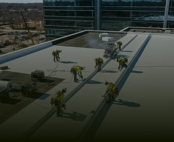 Window Services
