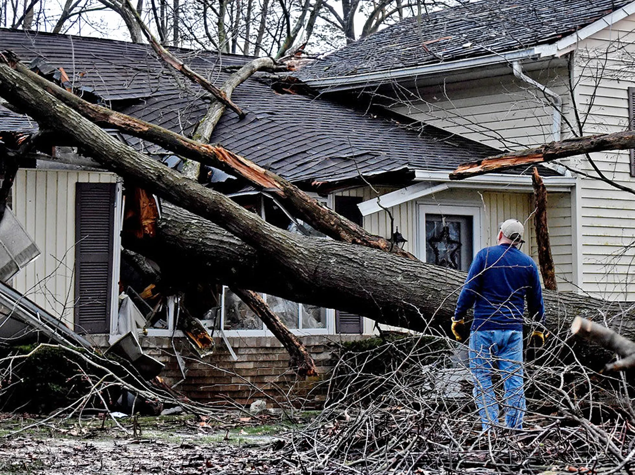 Everything the Storm Damaged, We Repair