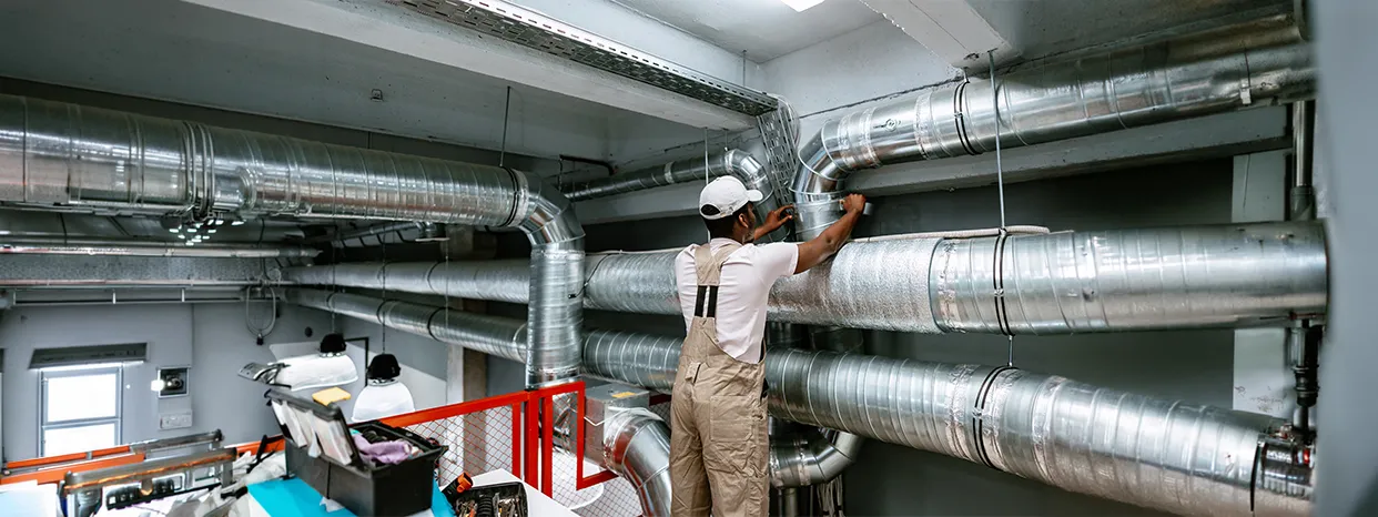We begin by inspecting your attic airflow and moisture levels.