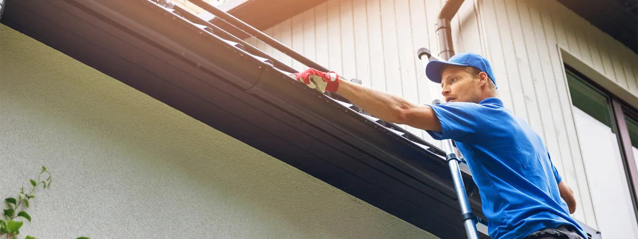 Gutter Inspection and Assessment